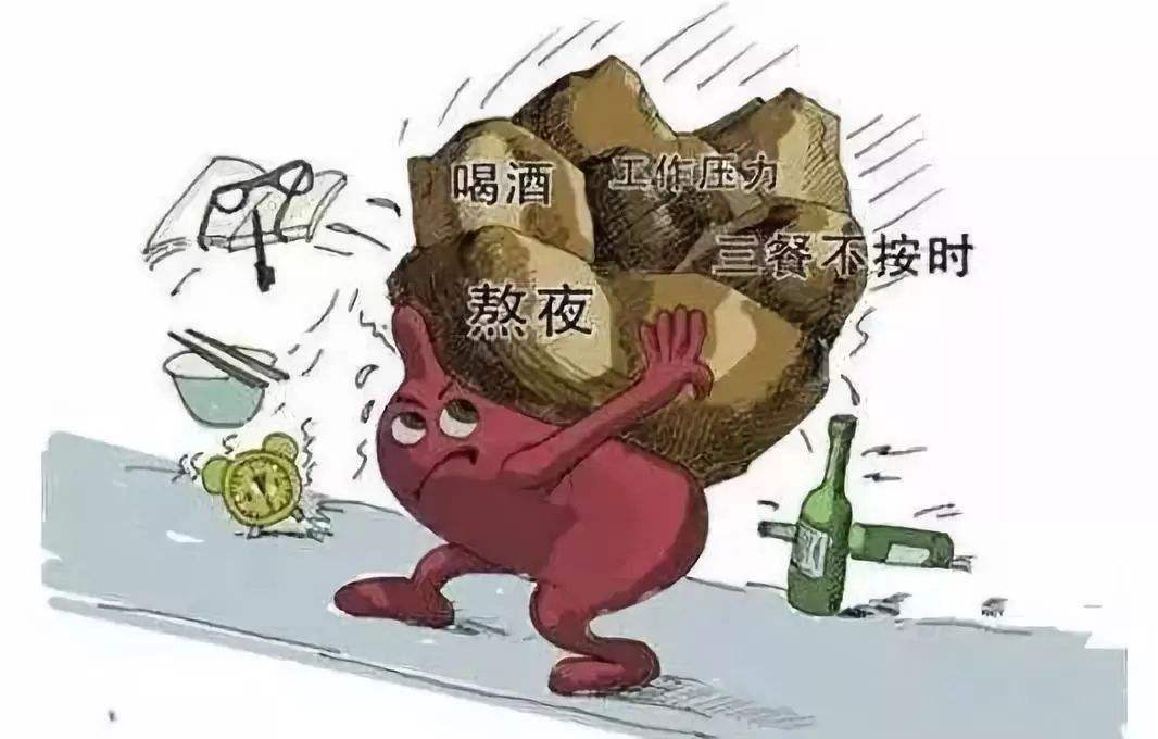 袋泡茶廠家